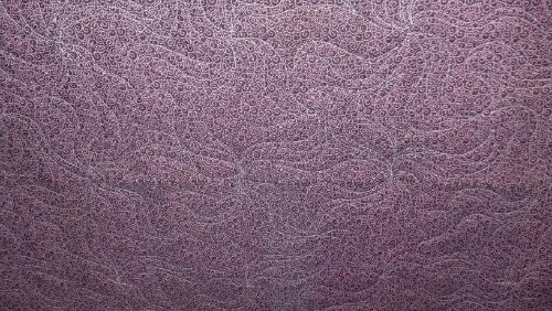 2013-01-29_17-25-45_127.jpg image