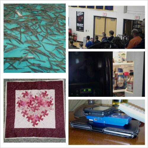 PhotoGrid_1361028797485.jpg image