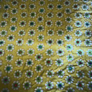 Aviary Photo_130103516602707486