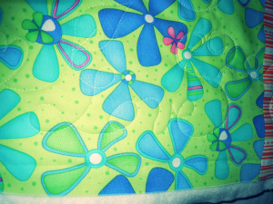 Aviary Photo_130107264255733268