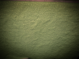 Aviary Photo_130107265014699899