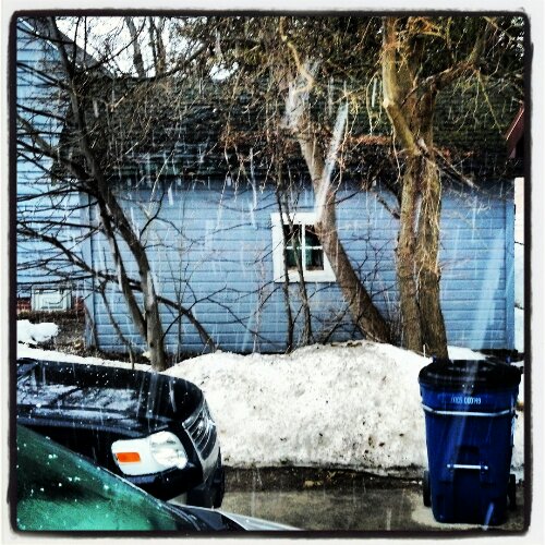 IMG_20130401_104009.jpg image