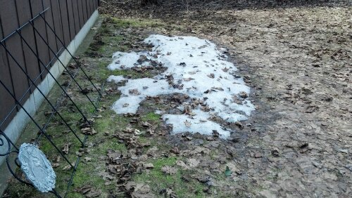 IMG_20130427_153232_696.jpg image