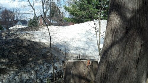 IMG_20130427_153252_067.jpg image