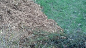 IMG_20130505_194215_626