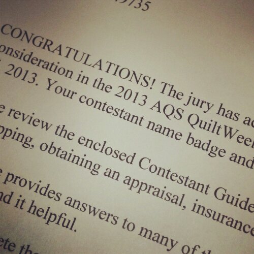 IMG_20130624_190119.jpg image