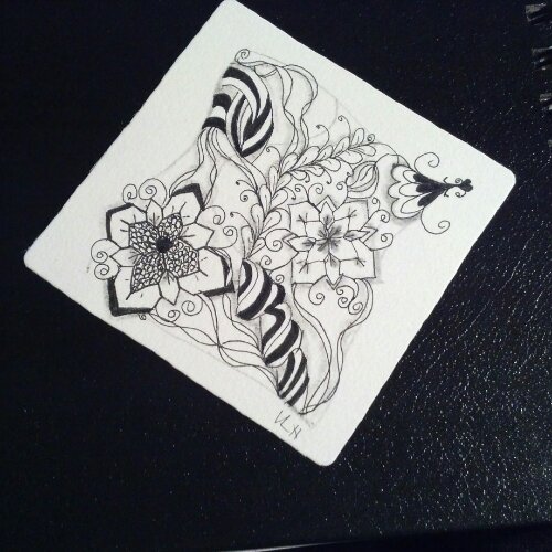 IMG_20130809_212454.jpg image