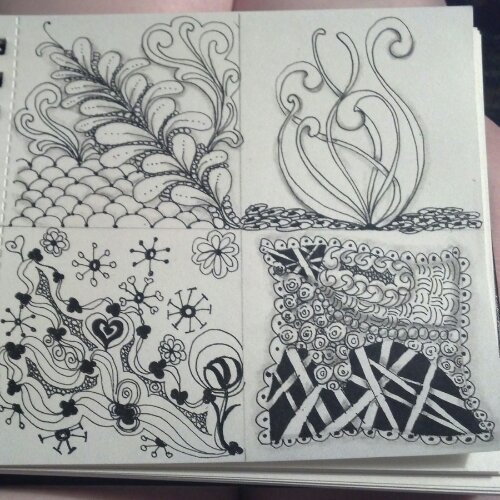 IMG_20130811_210551.jpg image