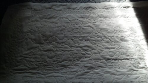 IMG_20130821_180349_075.jpg image