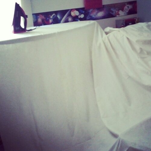 IMG_20130829_131048.jpg image