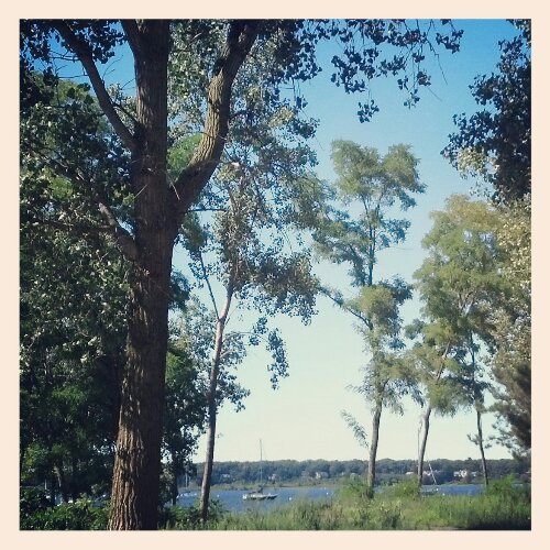 IMG_20130913_150143.jpg image