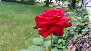 2014-07-30 08.30.32