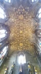 10270464_10152311095192314_4571670843881068075_n