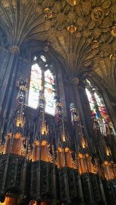 1546317_10152311095062314_757534852855664506_n