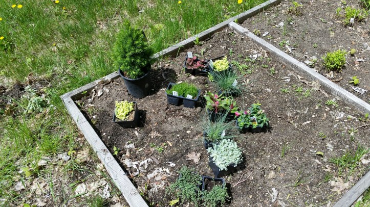 wp-1431888075923 image