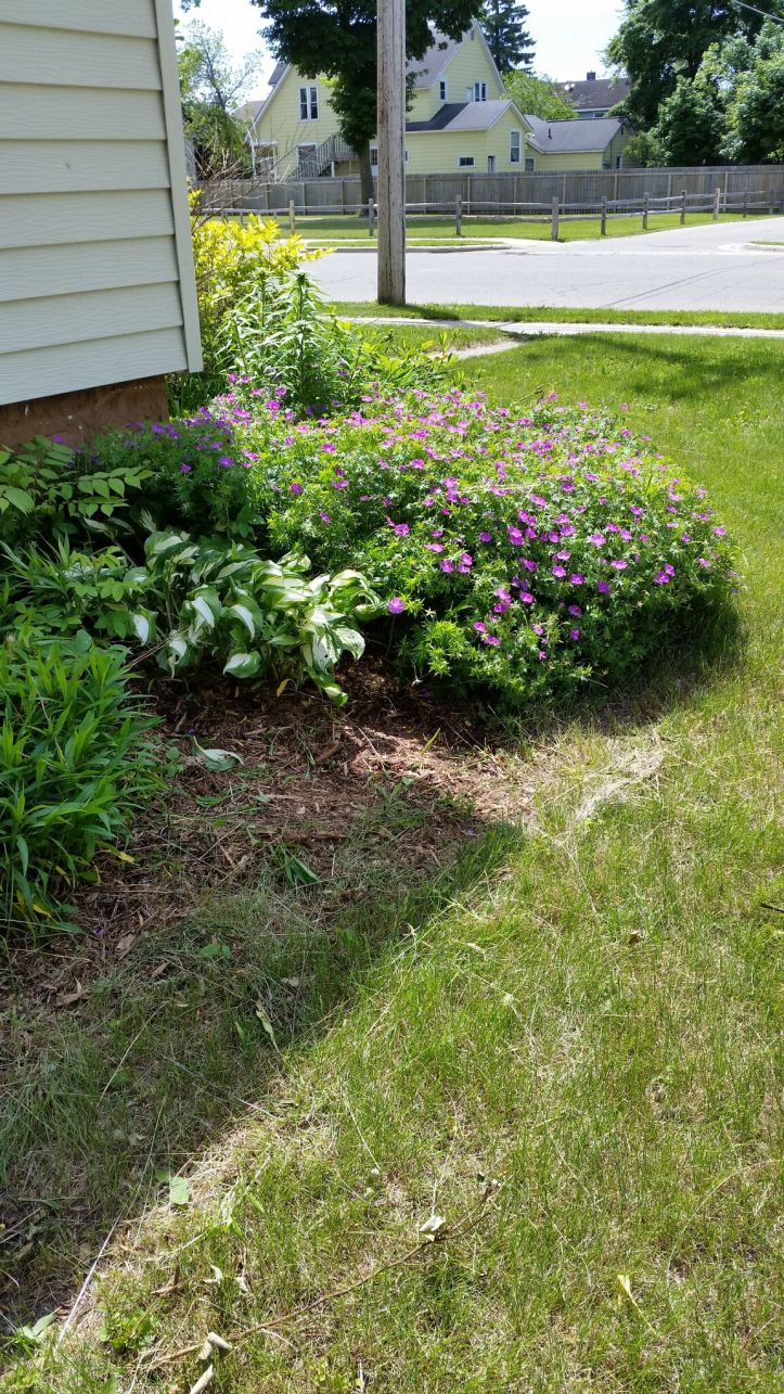 wp-1434893876114 image