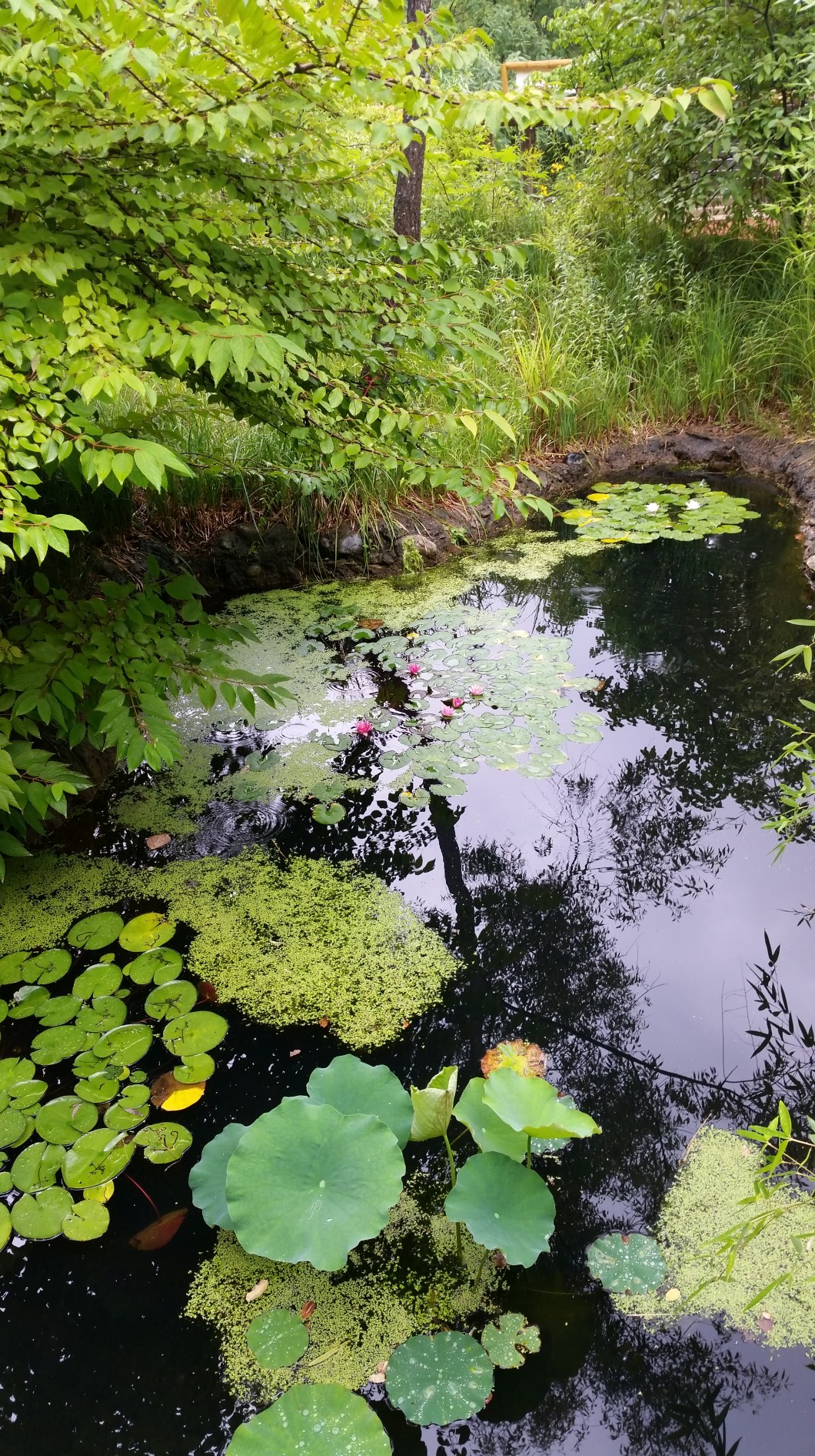 2015-08-23 13.56.36