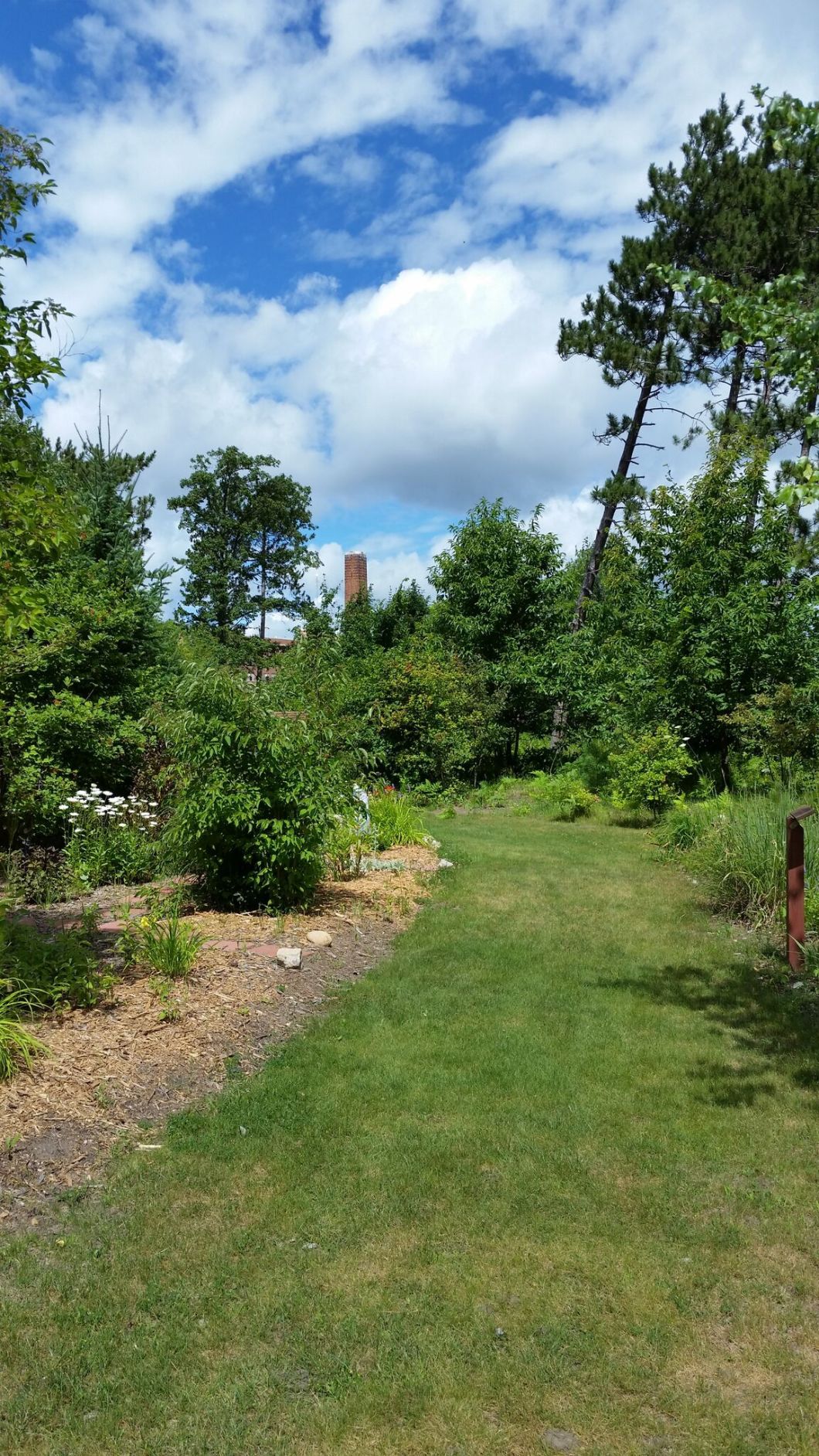 wp-1438905623472 image